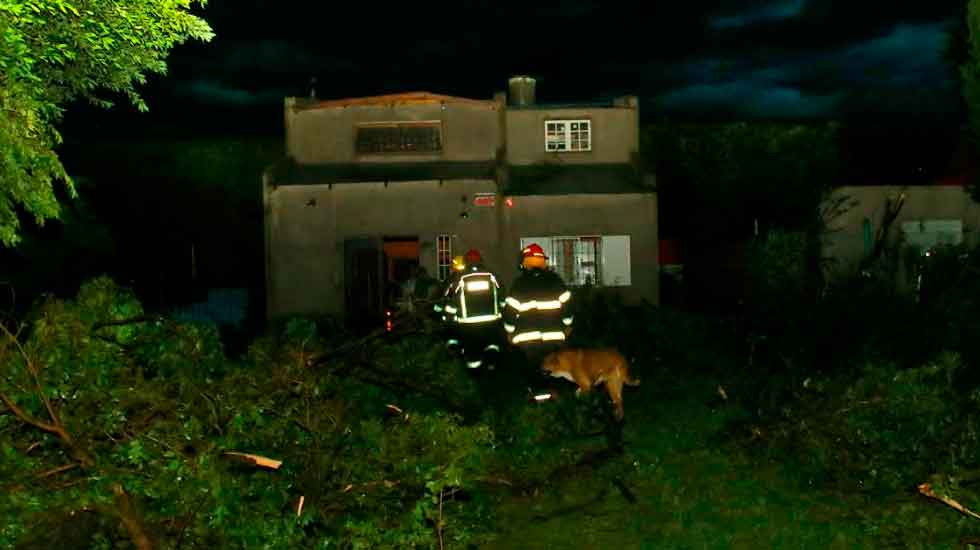Bomberos de Olavarría asistió un total de 275 servicios 