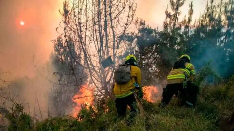 Dos bomberos que atendían incendio resultaron heridos