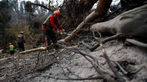 Lograron extinguir los incendios que dejaron más de 130 muertos