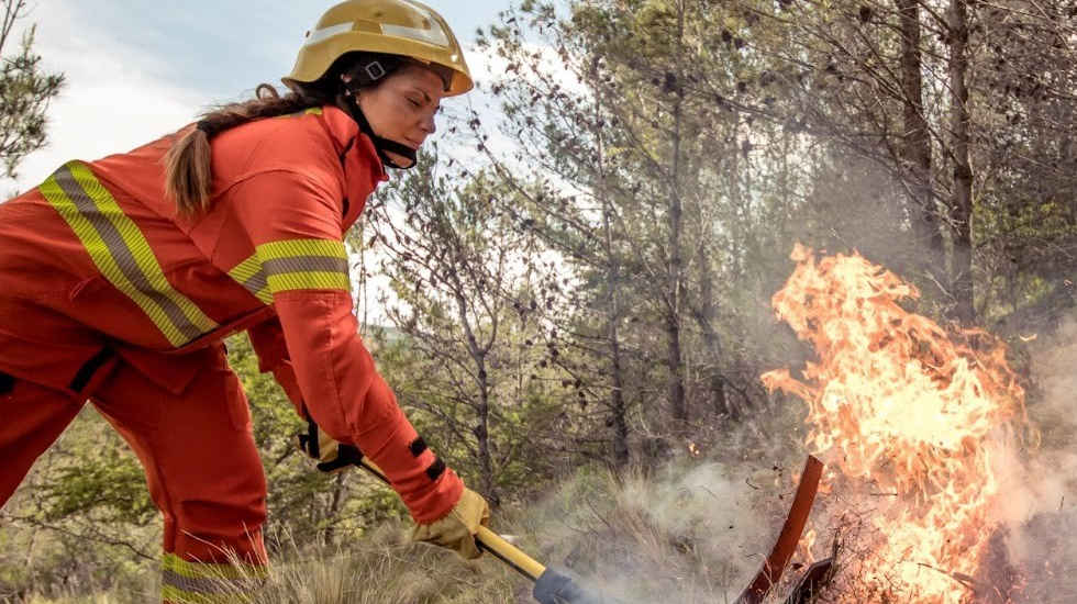 El nuevo curso gratuito de Inforest ya cuenta con más de 5.000 inscriptos