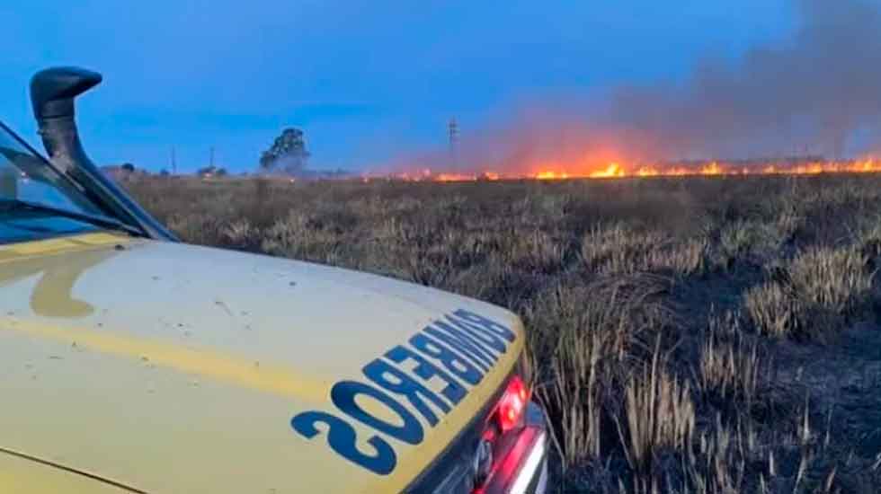 Lograron controlar un gran incendio tras cinco horas de trabajo