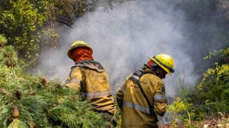 Bomberos Voluntarios requieren ayuda para reponer su equipo