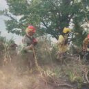 Bomberos voluntarios de Neuquén denuncian incumplimiento de la Ley 3359
