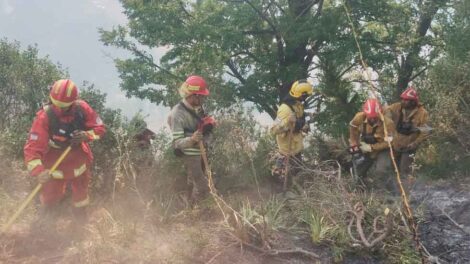 Bomberos voluntarios de Neuquén denuncian incumplimiento de la Ley 3359