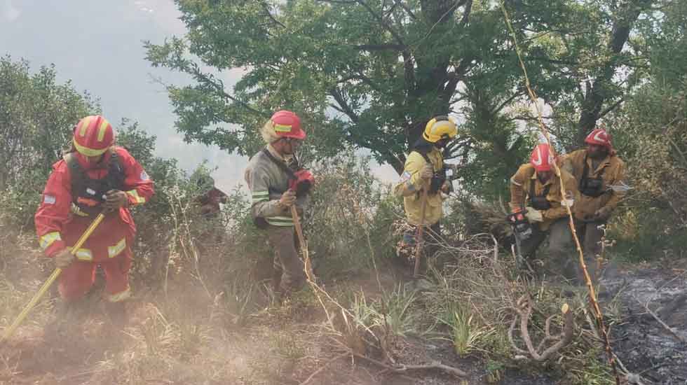 Bomberos voluntarios de Neuquén denuncian incumplimiento de la Ley 3359