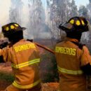 Día Nacional del Bombero en Chile: ¿Qué se conmemora?