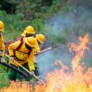 Abren proceso judicial contra directora de Bomberos por presuntas irregularidades