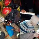 Bomberos de Almirante Brown reanimaron a cuatro animales tras incendio