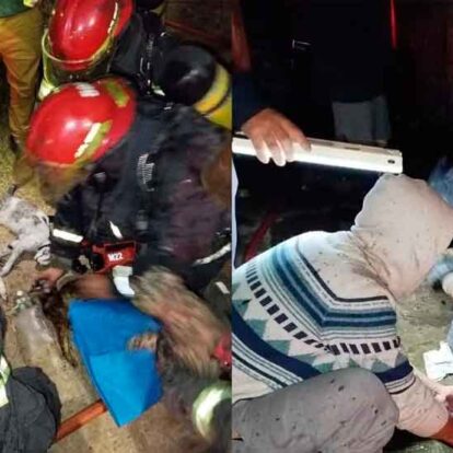 Bomberos de Almirante Brown reanimaron a cuatro animales tras incendio