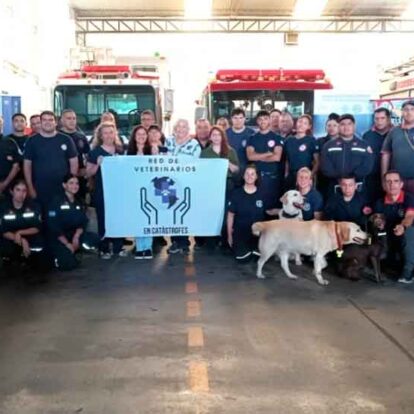 Veterinarios capacitaron a bomberos K9 en atención de emergencias animales