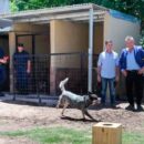 Inauguraron nuevos caniles en la División de Bomberos Zapadores