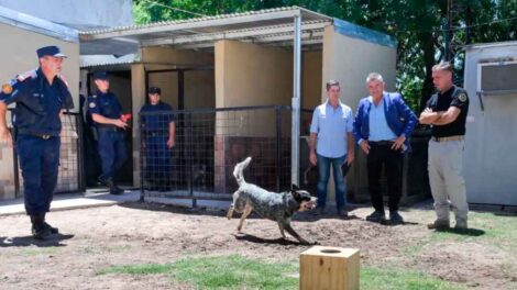 Inauguraron nuevos caniles en la División de Bomberos Zapadores