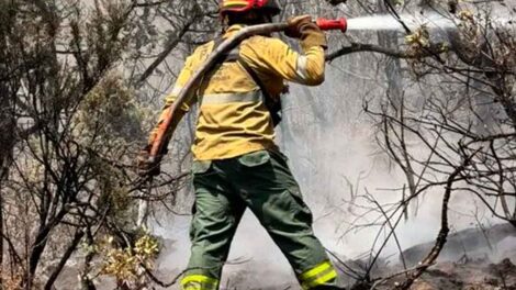 Bomberos de Córdoba ya combaten el fuego en Chubut