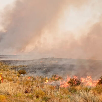 CUO: Incendios Forestales en Neuquén y La Pampa