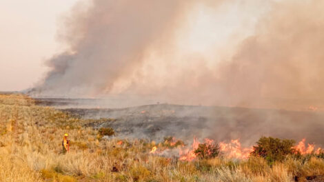 CUO: Incendios Forestales en Neuquén y La Pampa