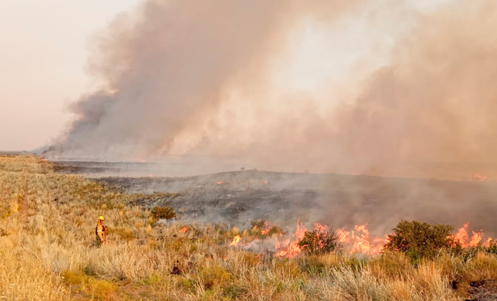 CUO: Incendios Forestales en Neuquén y La Pampa
