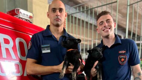 Nova y Roma se suman a la Unidad de Búsqueda y Rescate K9