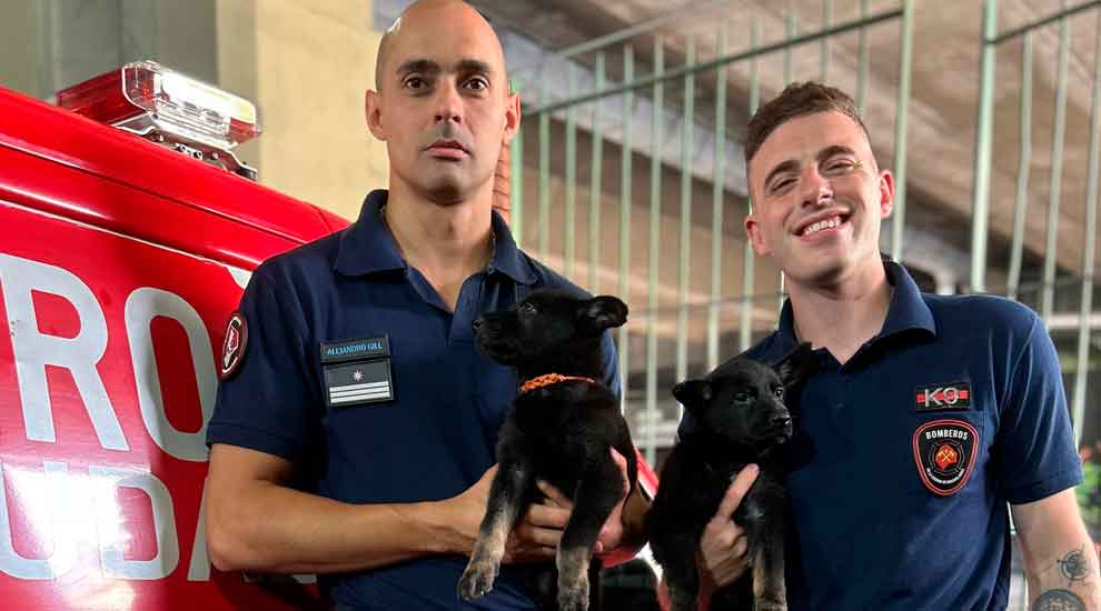 Nova y Roma se suman a la Unidad de Búsqueda y Rescate K9