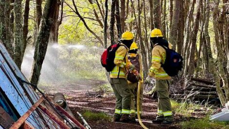 Capacitación para fortalecer la respuesta a incendios forestales