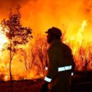 Denuncian penalmente a la Federación por el desvío de $87 millones