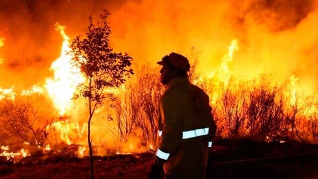 Denuncian penalmente a la Federación por el desvío de $87 millones