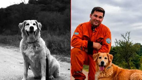 Bomberos de General Ramírez despidieron a Ruka de la Brigada K9