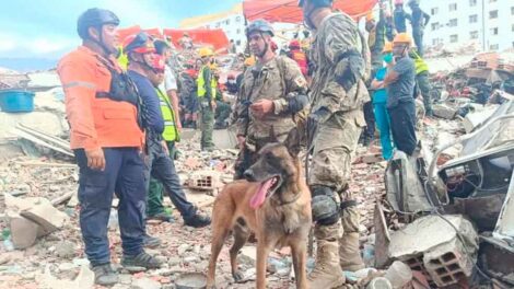 El perro "Bart" de la Armada Argentina localizó con vida a dos menores sepultados por el sismo en Venezuela