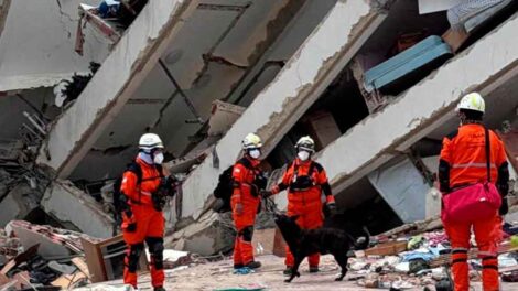 Las brigadas USAR argentinas operan a plena capacidad en La Guaira y Caraballeda