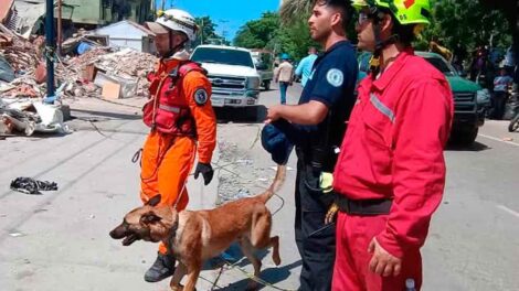 Las brigadas USAR ARG-12 y ARG-13 coordinan búsquedas técnicas en la zona cero