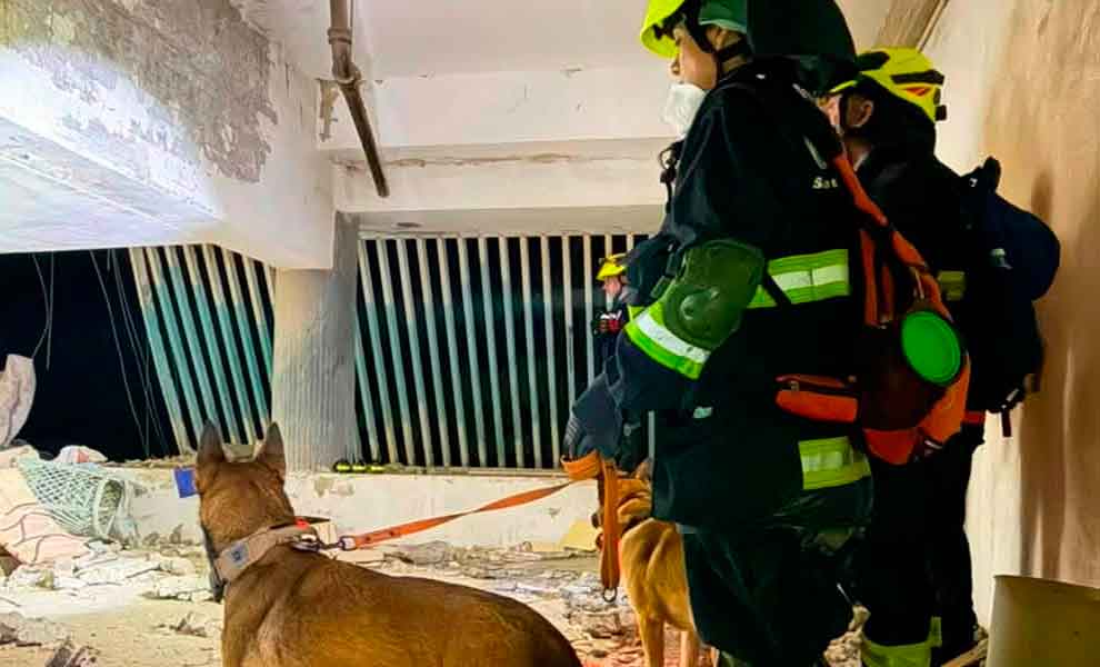 Las brigadas USAR argentinas operan a plena capacidad en La Guaira y Caraballeda
