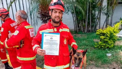 El Gobierno de Venezuela condecoró a una perrita rescatista de Perú tras localizar sobrevivientes