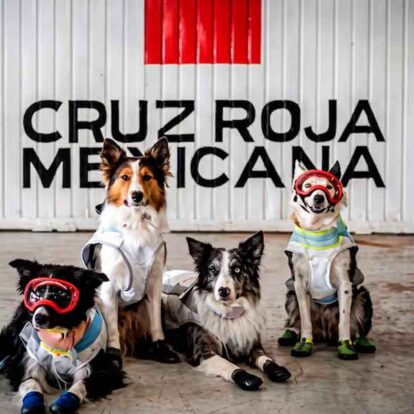 La Cruz Roja Mexicana rindió honores a los rescatistas y binomios caninos desplegados en Venezuela