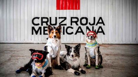 La Cruz Roja Mexicana rindió honores a los rescatistas y binomios caninos desplegados en Venezuela