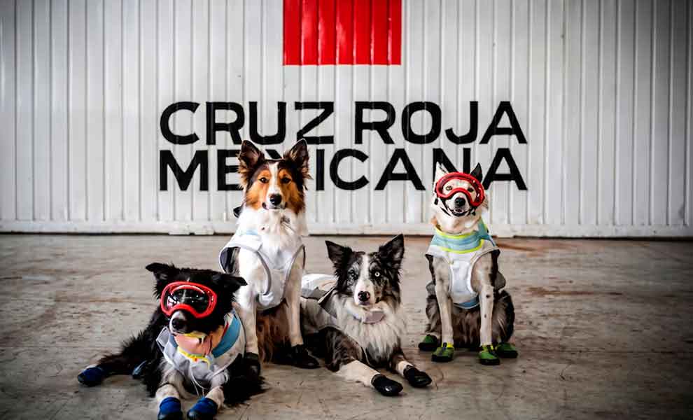La Cruz Roja Mexicana rindió honores a los rescatistas y binomios caninos desplegados en Venezuela