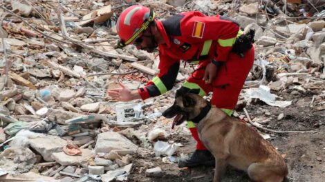 Perros de rescate terremoto Venezuela