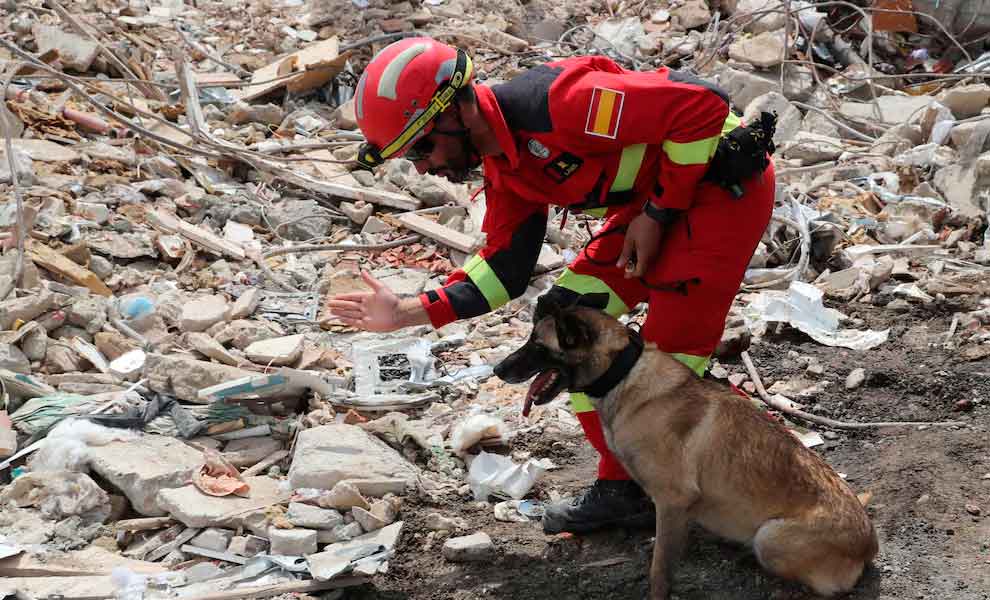 Perros de rescate terremoto Venezuela