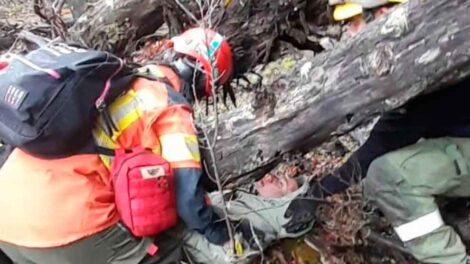 Bomberos y brigadistas realizaron un encuentro de búsqueda y rescate